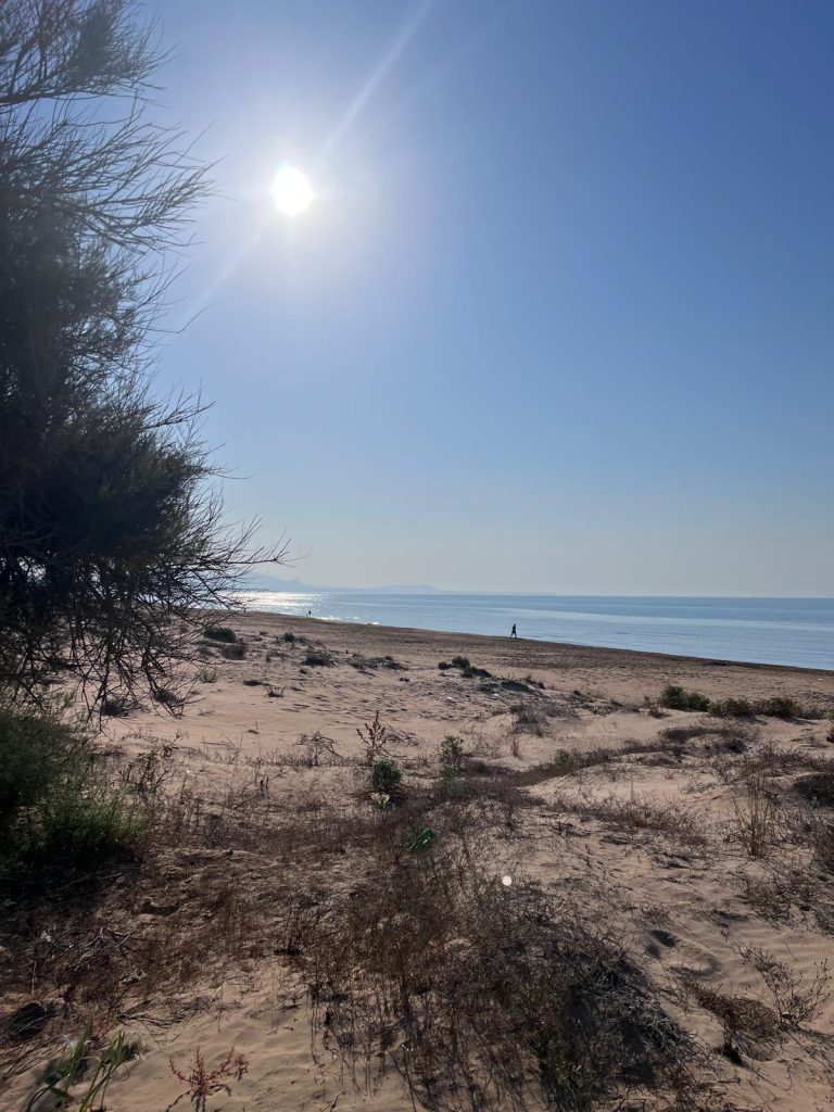 Immobile lato Est, mt 50 dal mare